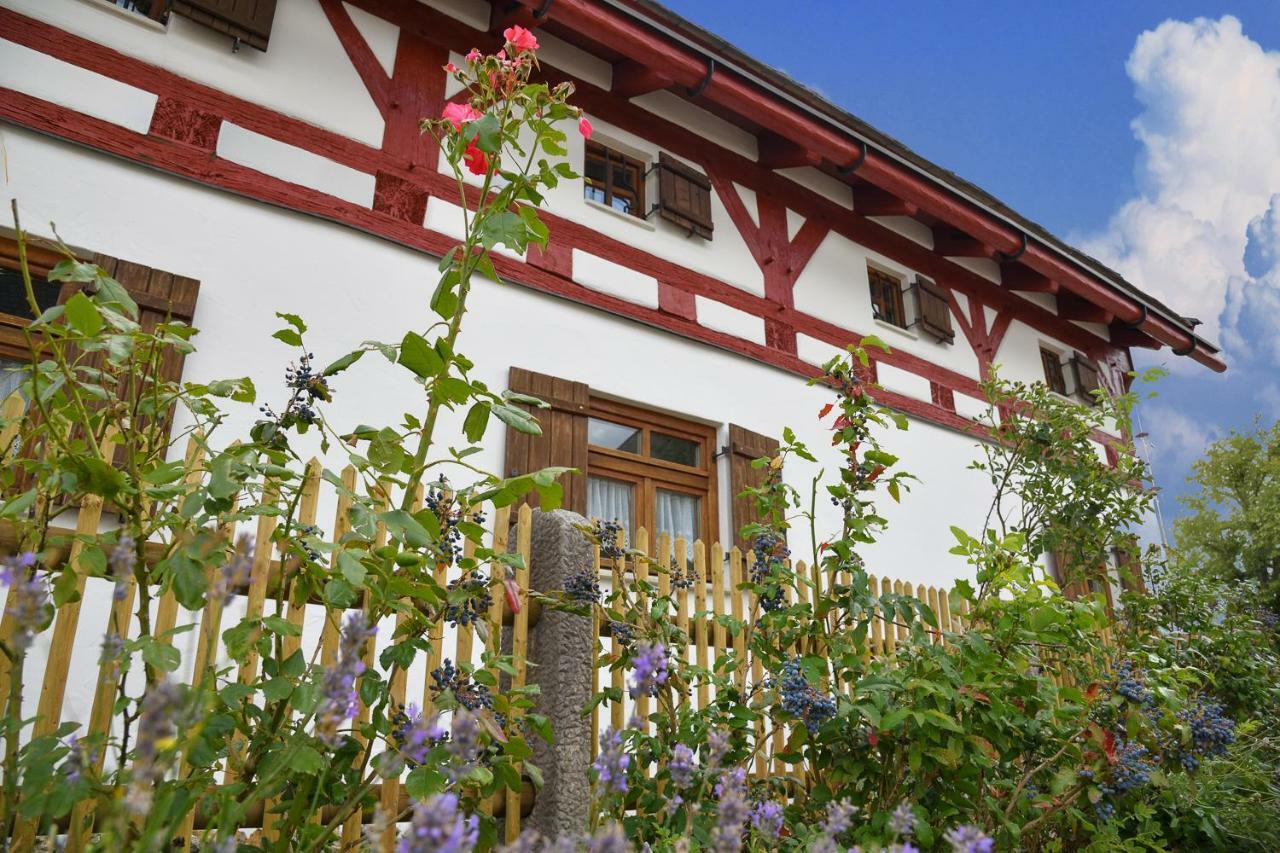 Jurahaus Hirschberg Lejlighed Beilngries Eksteriør billede